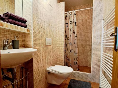 高塔特拉山Apartmán Severanka的浴室配有卫生间、盥洗盆和淋浴。