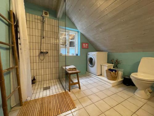 克利特默勒Viking Surf Cottage的一间带卫生间和洗衣机的浴室