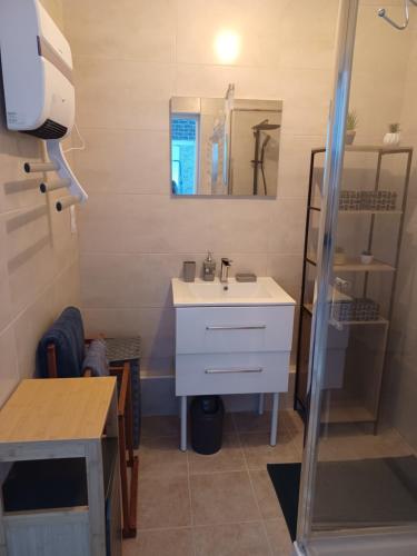 吕克瑟伊莱班Chez Arthur et Cie的浴室设有白色水槽和镜子