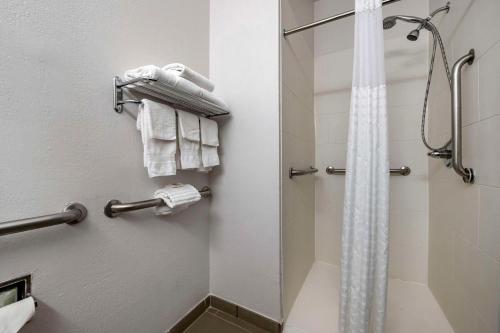 普兰菲尔德Comfort Inn Indianapolis Airport的带淋浴和浴帘的浴室