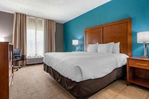 普兰菲尔德Comfort Inn Indianapolis Airport的酒店客房设有一张大床和蓝色的墙壁。