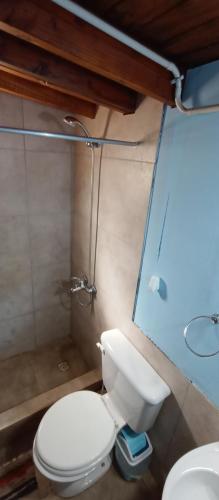圣卡洛斯-德巴里洛切Choique的浴室配有白色卫生间和淋浴。