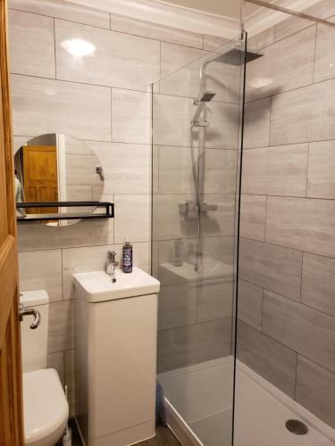 科尔切斯特Luxury Self Catering in Colchester的带淋浴、卫生间和盥洗盆的浴室