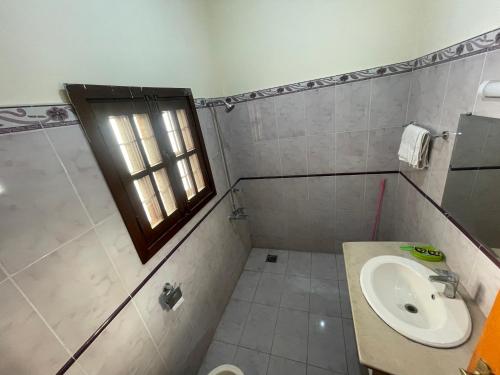 伊斯兰堡Dream Palace的一间带水槽和卫生间的浴室以及窗户。