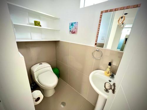 奥克萨潘帕Colina Haus, hospedaje Oxapampa的一间带卫生间和水槽的小浴室