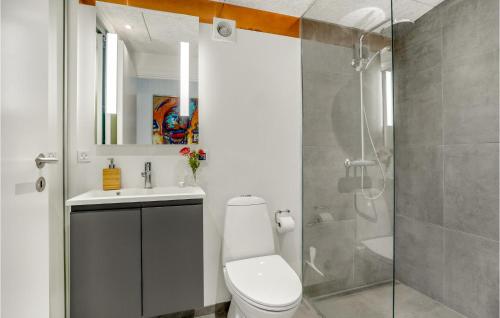 吉斯特拉普Gorgeous Home In Gistrup With Sauna的浴室配有卫生间、盥洗盆和淋浴。