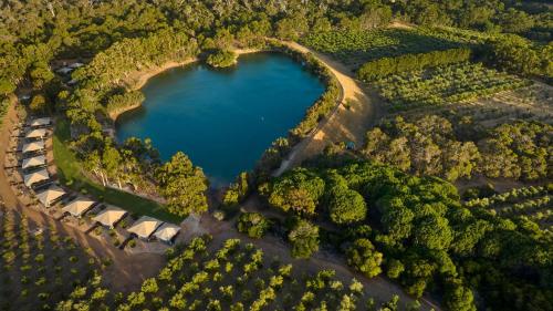 Cowaramup奥里奥贝洛湖畔格拉姆皮恩酒店的树林中湖泊的空中景色