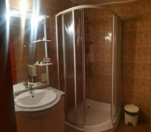 普雷代亚尔伊克斯普利斯酒店的带淋浴和盥洗盆的浴室