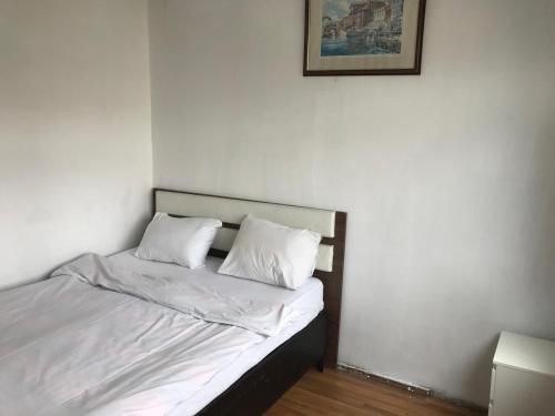 甘贾Guest Apartment的一张带两个白色枕头的床
