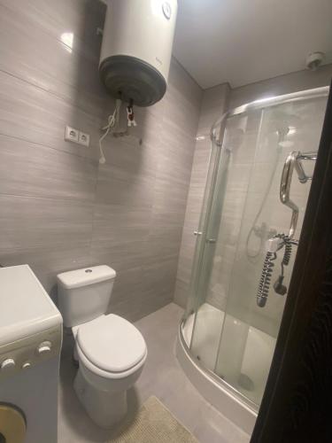 拉塞尼艾Apartamentai的一间带卫生间和淋浴的浴室