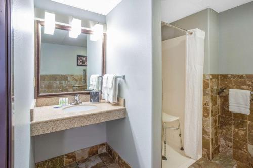 麦迪逊麦迪逊南阿美瑞辛酒店的一间带水槽和淋浴的浴室