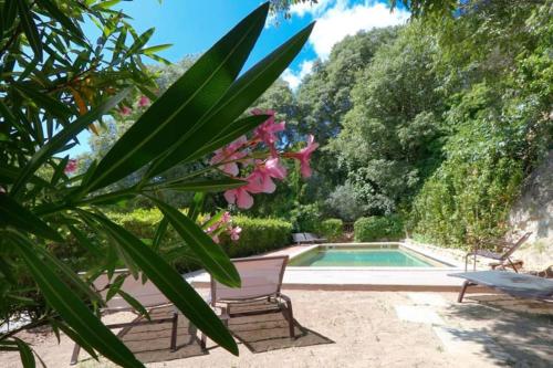 拉科斯特Maison avec piscine à Lacoste的花园设有游泳池、椅子和树木