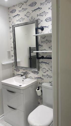 Saint Catherines提斯特尔庄园旅馆的一间带卫生间、水槽和镜子的浴室