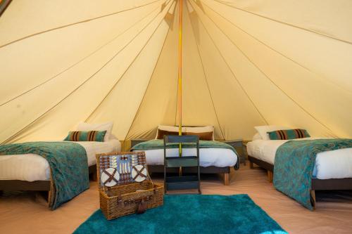 韦斯特波特Westport Estate Glamping Village的帐篷配有三张床和一张桌子