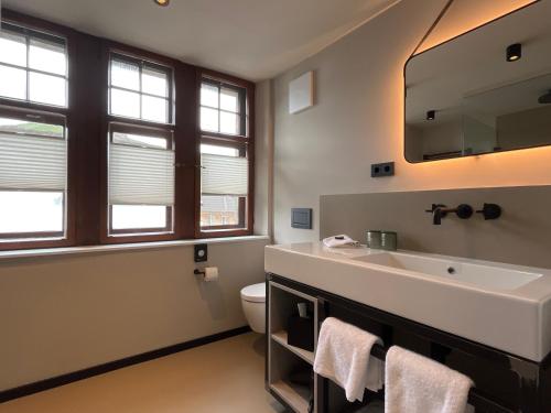巴特诺因阿尔-阿尔韦勒Boutiquehotel Burg Adenbach & Alter Weinbau的一间带水槽和卫生间的浴室以及窗户。