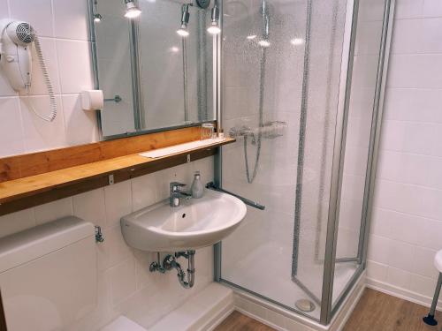 霍恩-巴特迈恩贝格科内酒店的一间带水槽和淋浴的浴室