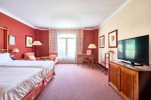 阿维拉方特克鲁兹阿维拉酒店的配有一张床和一台平面电视的酒店客房