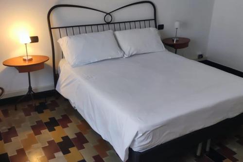 维罗纳A 100 passi da Piazza Bra的一间卧室配有一张带2个床头柜的大床
