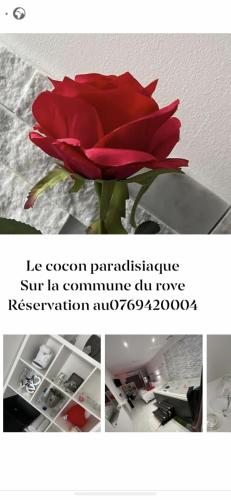 乐罗夫Love room avec spa privatif的一张桌子上花瓶里的一个红玫瑰