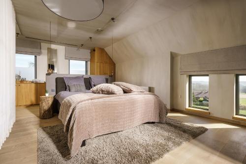 赫拉尔兹贝亨vakantieverblijf Pand19的一间卧室设有一张床和一个大窗户
