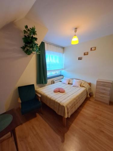 乔尔什滕Majkowiczówka的卧室配有床、椅子和窗户。