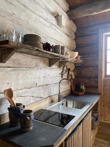 SkjåkSauefjøset - Idyllisk gardstun fra 1800-tallet的厨房配有水槽和台面