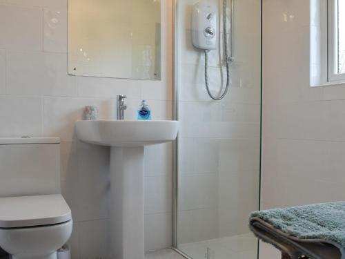 Powmill吉安乡村别墅的浴室配有卫生间、盥洗盆和淋浴。
