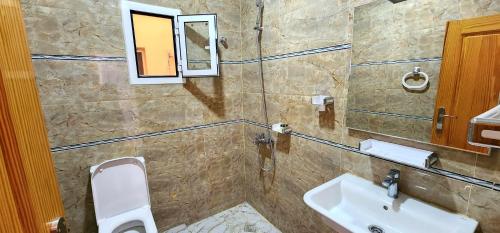 努瓦迪布HOTEL LE BON CHOIX的一间带水槽、卫生间和镜子的浴室