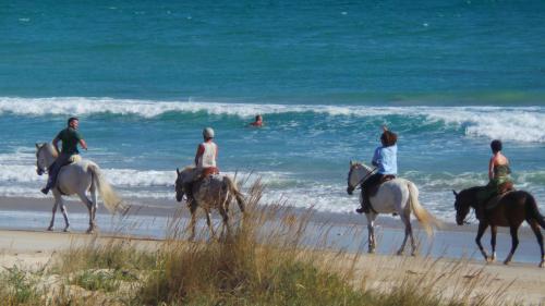 塔里法亚特维达酒店的一群人在海滩上骑马