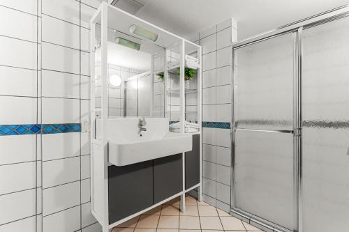 威利布罗德自然库拉索公寓式酒店的一间带水槽和淋浴的浴室