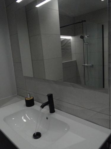 阿斯托加INSULA PLAzA MAYOR HOME的一间带水槽和玻璃淋浴的浴室