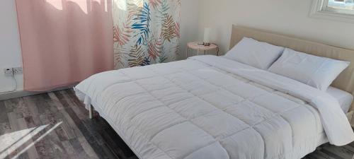 StrovolosZinas modern flat Nicosia的卧室配有白色的床和窗户。