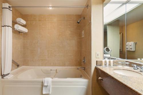 伯锡尔城伯锡尔马蹄铁赌场&酒店的带浴缸和盥洗盆的浴室