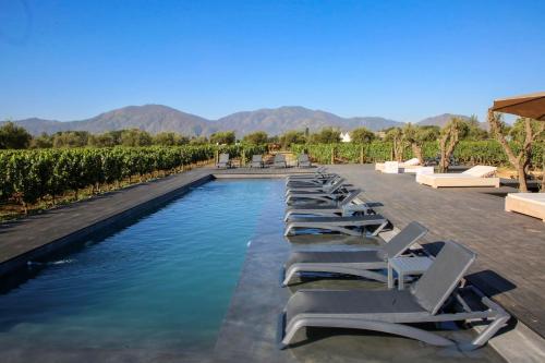 圣克鲁兹Vibo Wine Lodge At Viu Manent的游泳池旁的一排躺椅和椅子