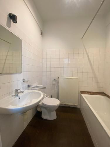 莫尔特塞尔Cosy Apartment near Antwerp的浴室配有盥洗盆、卫生间和浴缸。