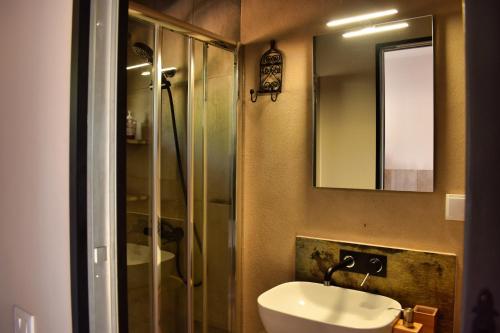 圣布拉什迪阿尔波特尔Heaven's Edge的一间带水槽、淋浴和镜子的浴室