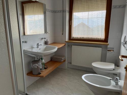 圣洛伦佐-迪塞巴托Holzerhof的一间带水槽和卫生间的浴室