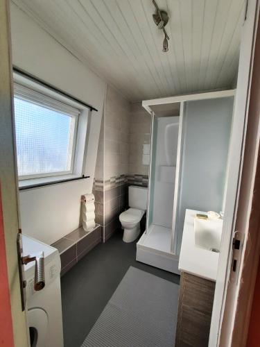 勒特雷波尔le pigeonnier的一间带卫生间和水槽的小浴室