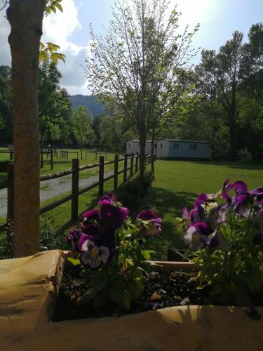 FrontoneIl Cinisco的围栏旁种有紫色花的花园