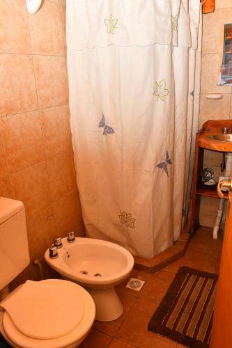 佩休尼亚镇ABEDULES CABAÑAS PEHUENIA的一间带卫生间和淋浴帘的浴室