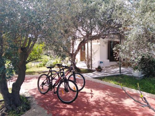 Cottage1Το μικρό σπίτι στο λιβαδι