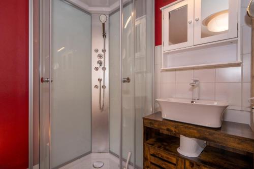 富伦多夫Fischohr - Studio的带淋浴和白色盥洗盆的浴室