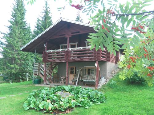 ToivakkaPäivänsäde Cottage的小木屋设有门廊和花园