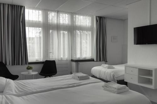 马斯特里赫特德拉布尔斯酒店的酒店客房设有两张床和电视。