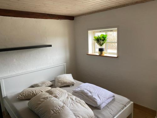 斯文堡Nyd Naturen på Tåsinge, tæt på Svendborg的一间卧室配有带两个枕头的床和窗户