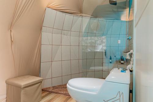 SantiagoBadu Lodge Puriscal的一间带卫生间和淋浴的小浴室