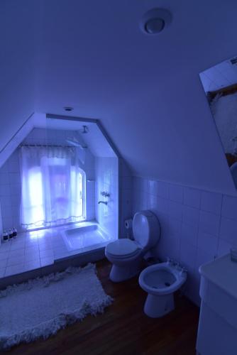 迈普Villa Victoria Lodge的浴室配有卫生间、浴缸和水槽。