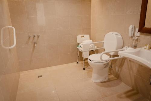 罗萨里奥Carat Apart Boutique的浴室配有卫生间、淋浴和盥洗盆。