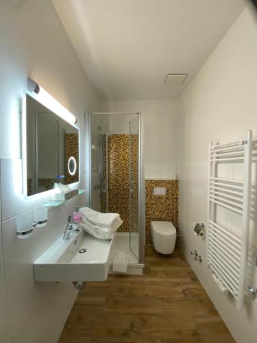 什未林大象酒店的一间带水槽和卫生间的浴室