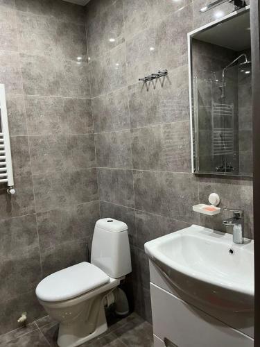 巴库里阿尼Villa Deluxe Premium Apartment 308的一间带卫生间和水槽的浴室
